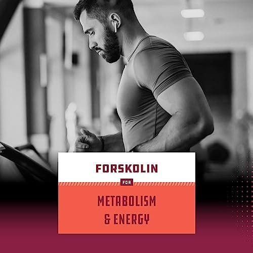 41NghN6LInL. AC Pure Forskolin Extract